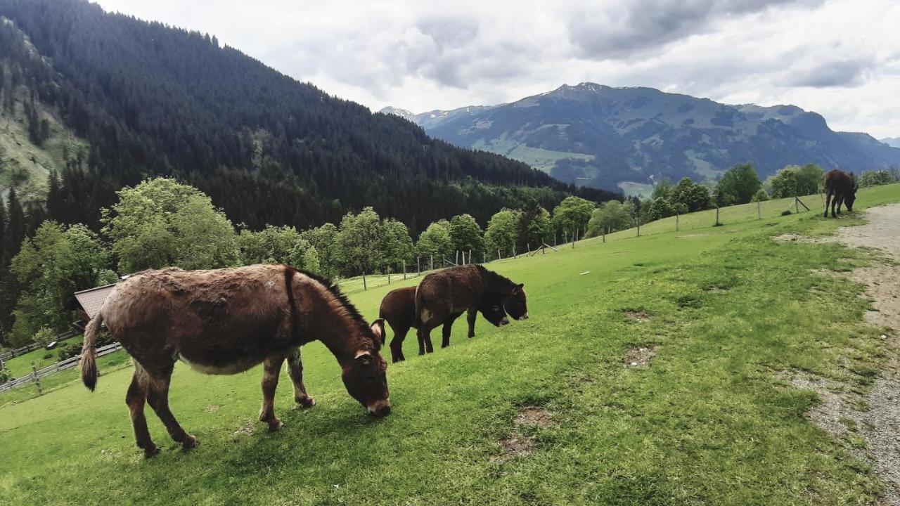 Bed and Breakfast Privatzimmervermietung Foidlbauer Oberndorf in Tirol Exterior foto